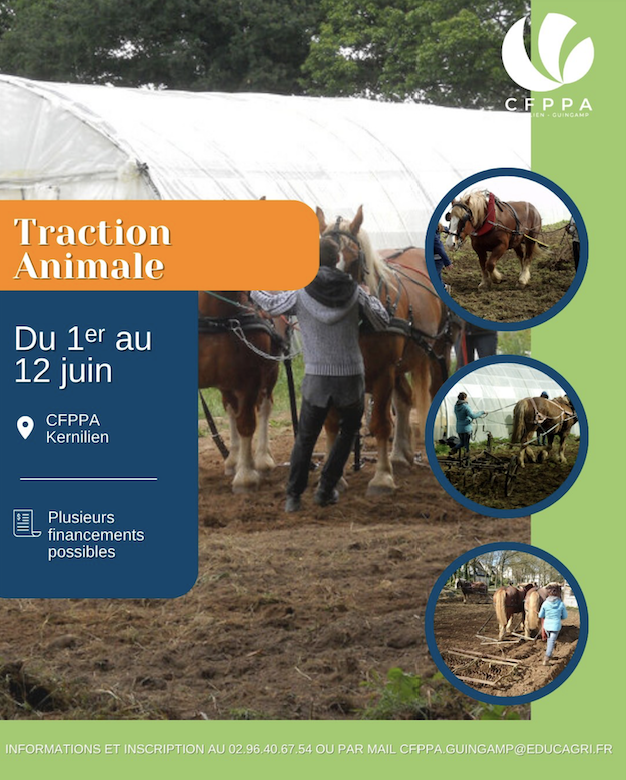 Formation en traction animale – CFPPA de Kernilien