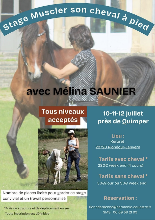 Stage “Muscler son cheval à pied”
