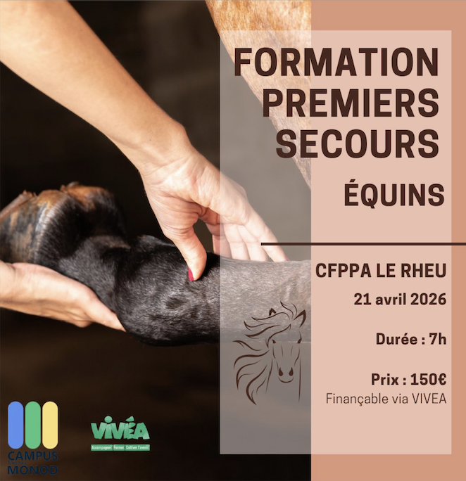 Formation Premiers Secours Équins – CFPPA Le Rheu