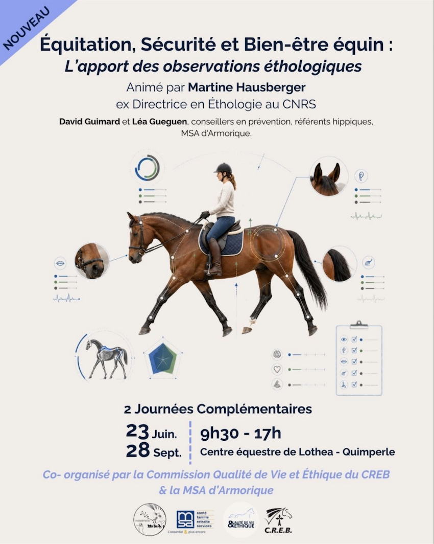 Équitation, Sécurité et Bien-être équin : l’apport des observations éthologiques