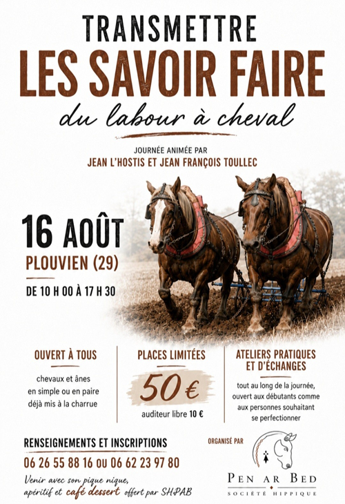 Transmettre les savoir faire du labour à cheval