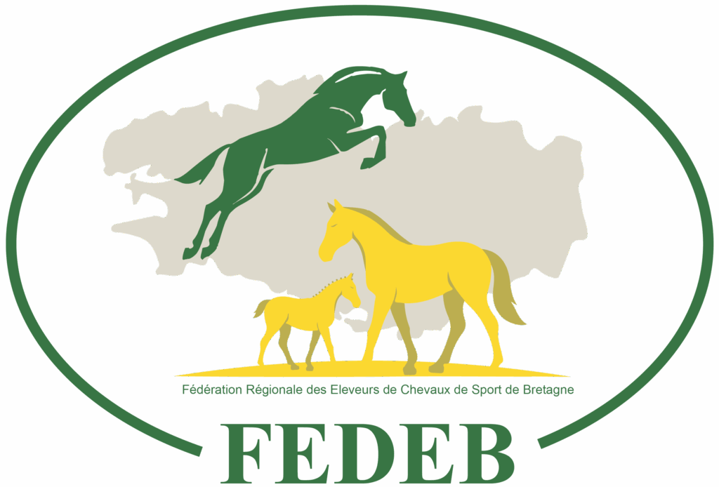 31 ème vente aux enchères de chevaux de sport et d'élevage de Bretagne