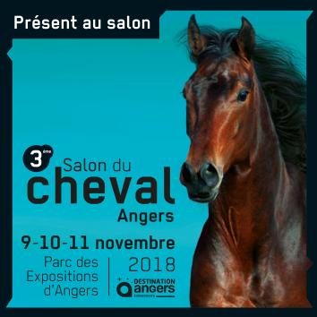 Le CEB sera présent au Salon du Cheval d'Angers du 9 au 11 novembre