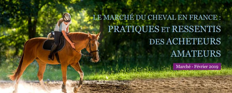 Etude IFCE : Le marché du cheval en France : pratiques et ressentis des acheteurs amateurs