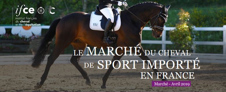 La note sur le marché du cheval de sport importé en France est parue !