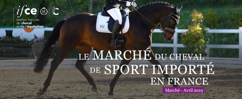 La note sur le marché du cheval de sport importé en France est parue !