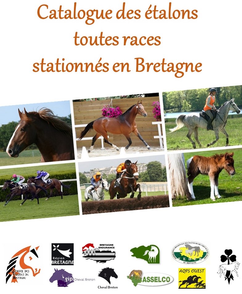 Le catalogue en ligne des étalons toutes races stationnés en Bretagne vient de paraître