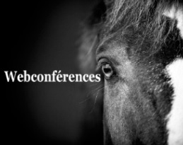 A quelles webconférences cheval de l'IFCE assister en avril