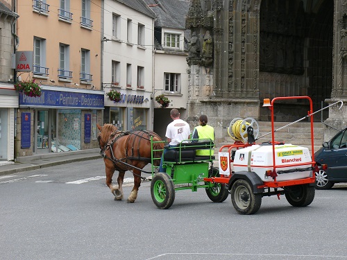 Le cheval territorial poursuit son développement en Bretagne