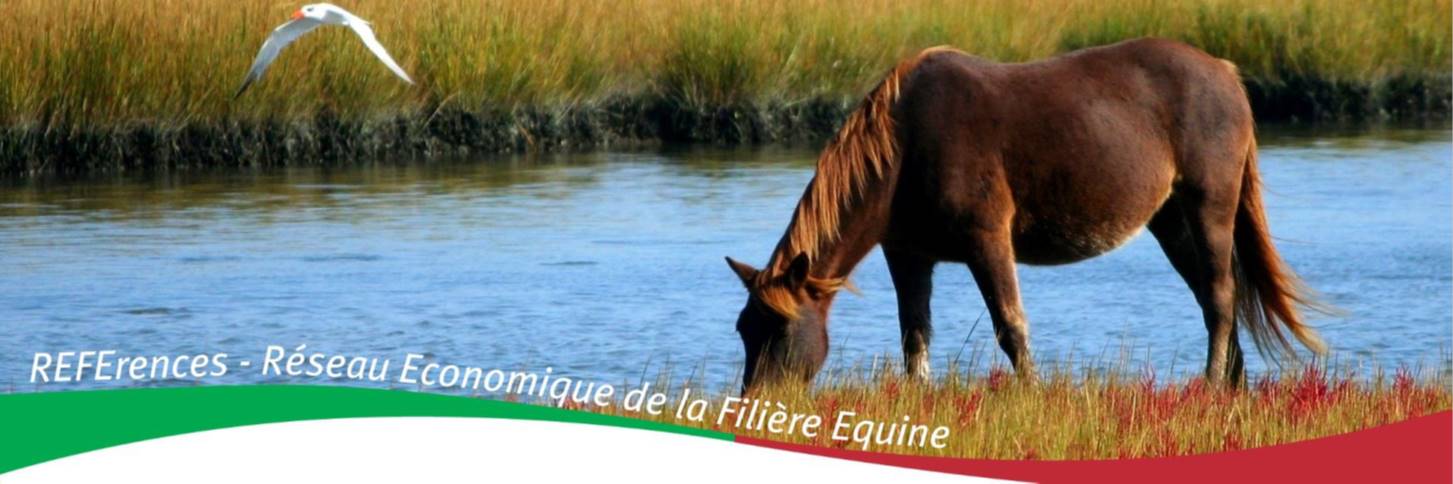 Note de Conjoncture sur la filière équine