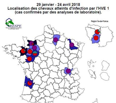 Alerte rhino : Bilan de suivi des foyers d'herpesviroses de type I (HVE1) - Appel à la vigilance - 24/04/2018