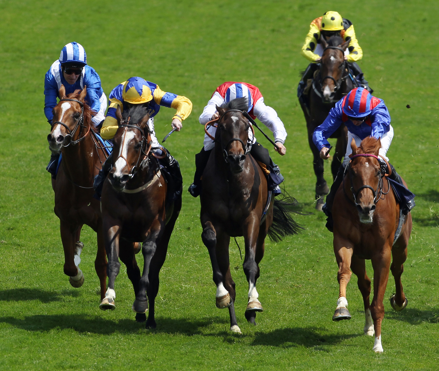 Du nouveau dans le Code des Courses de France Galop : la vaccination contre la rhinopneumonie devient obligatoire à partir du 1er janvier 2018