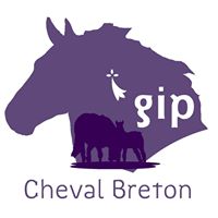 Le GIP Cheval Breton recrute un cavalier/meneur/palfrenier/soigneur sur Lamballe