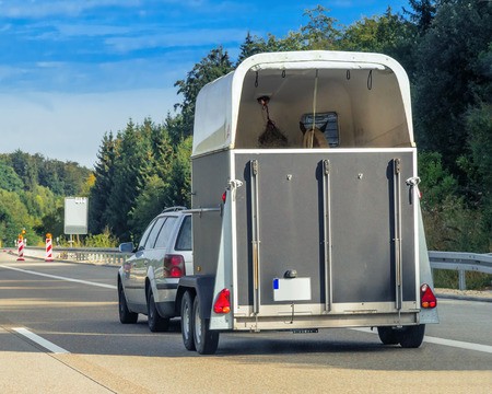 Restriction du transport des chevaux pendant la canicule