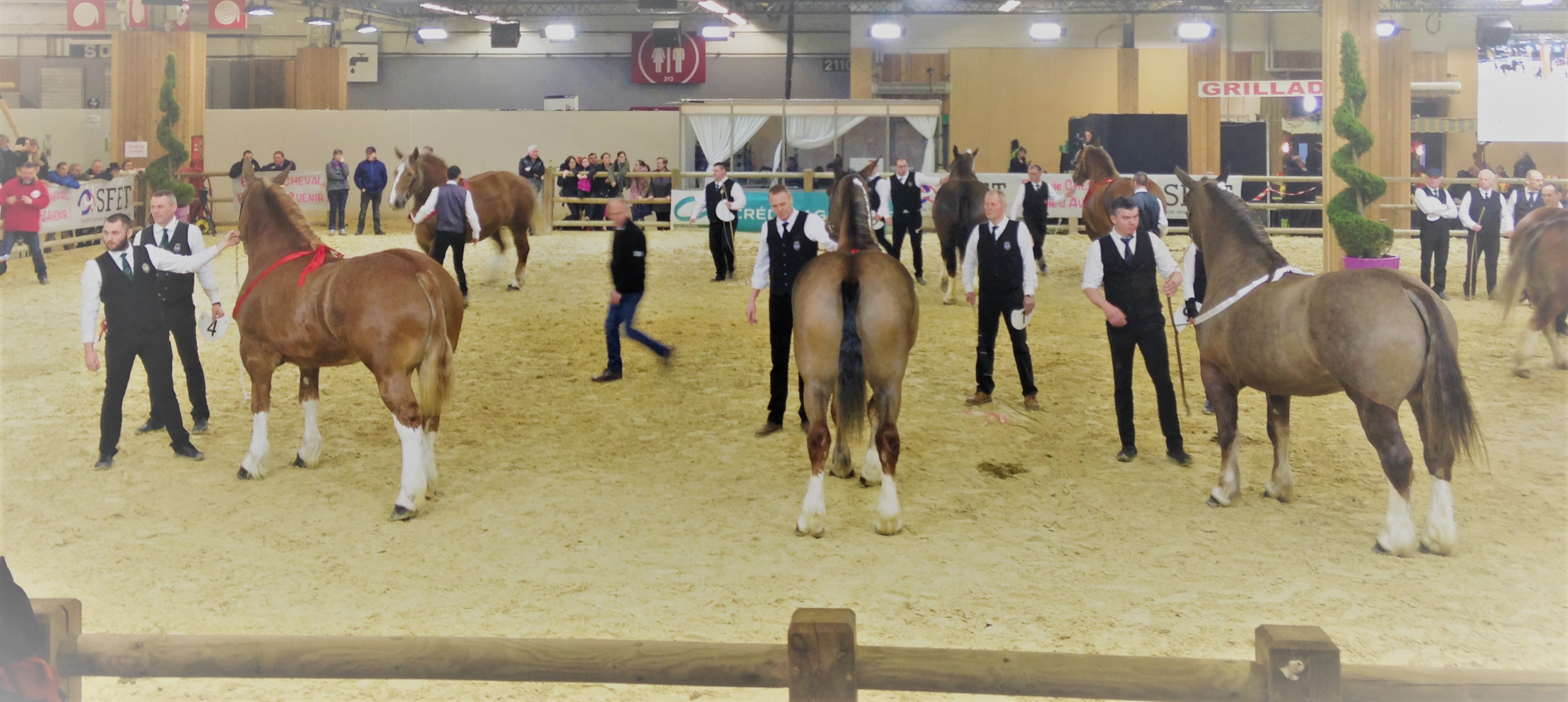 Le Cheval Breton au Salon de l'Agriculture de Paris