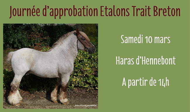 Journée d'approbation des étalons Trait Breton le 10 mars au Haras d'Hennebont