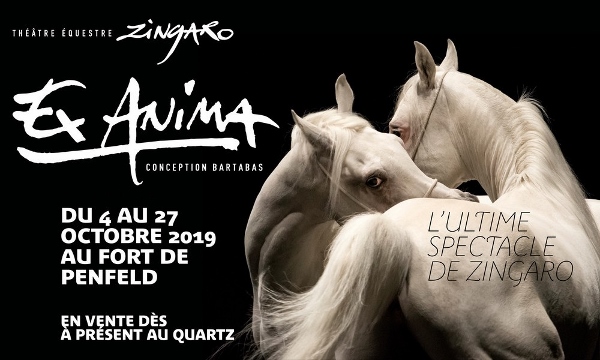 Zingaro : "ex anima" : conception Bartabas à Guilers du 4 au 27 octobre