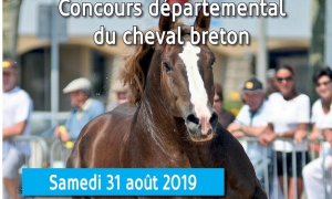 Concours départemental Breton au Haras National de Lamballe