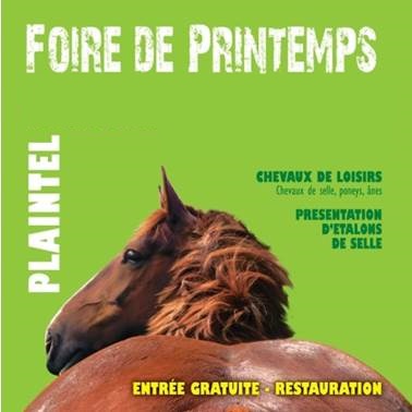 Foire de Printemps - Marché aux Chevaux à Plaintel