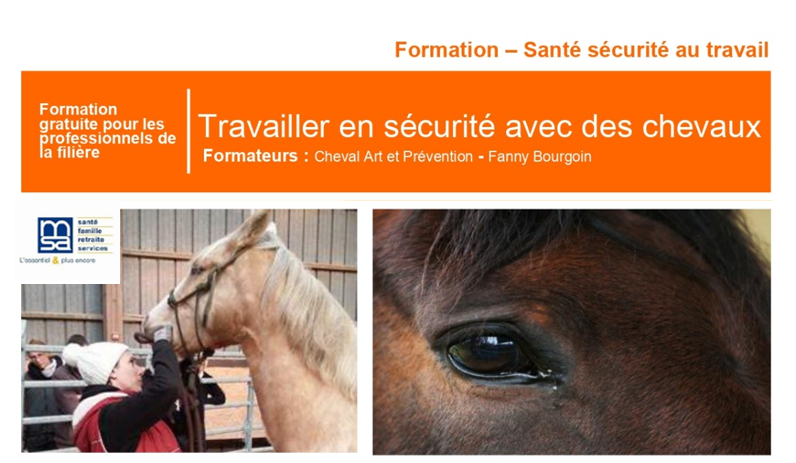 Formation gratuite MSA : Travailler en sécurité avec des chevaux