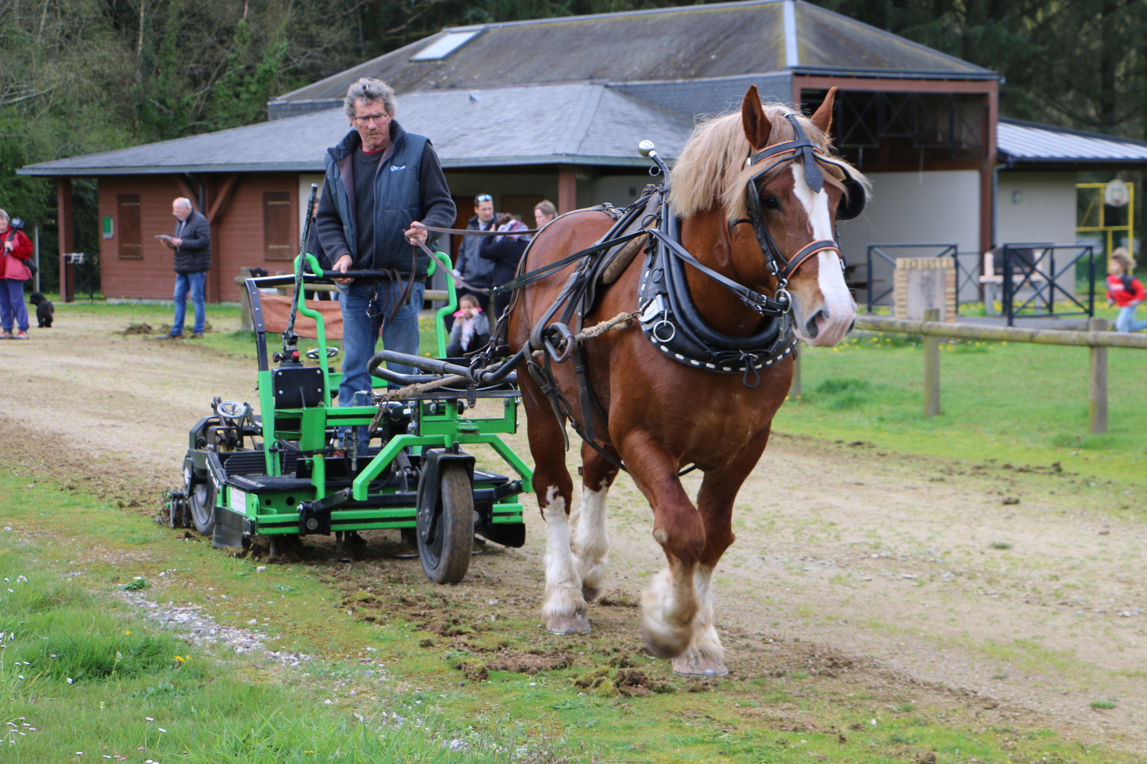 Faire à Cheval : Découvrir l’énergie cheval à Lorient