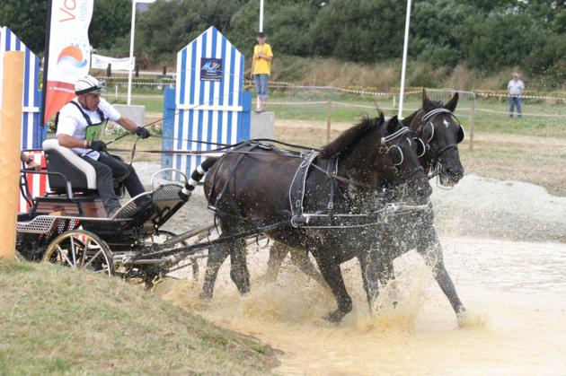 Concours d'attelage à l'hippodrome de la Baie de Saint-Brieuc les 20 et 21 octobre