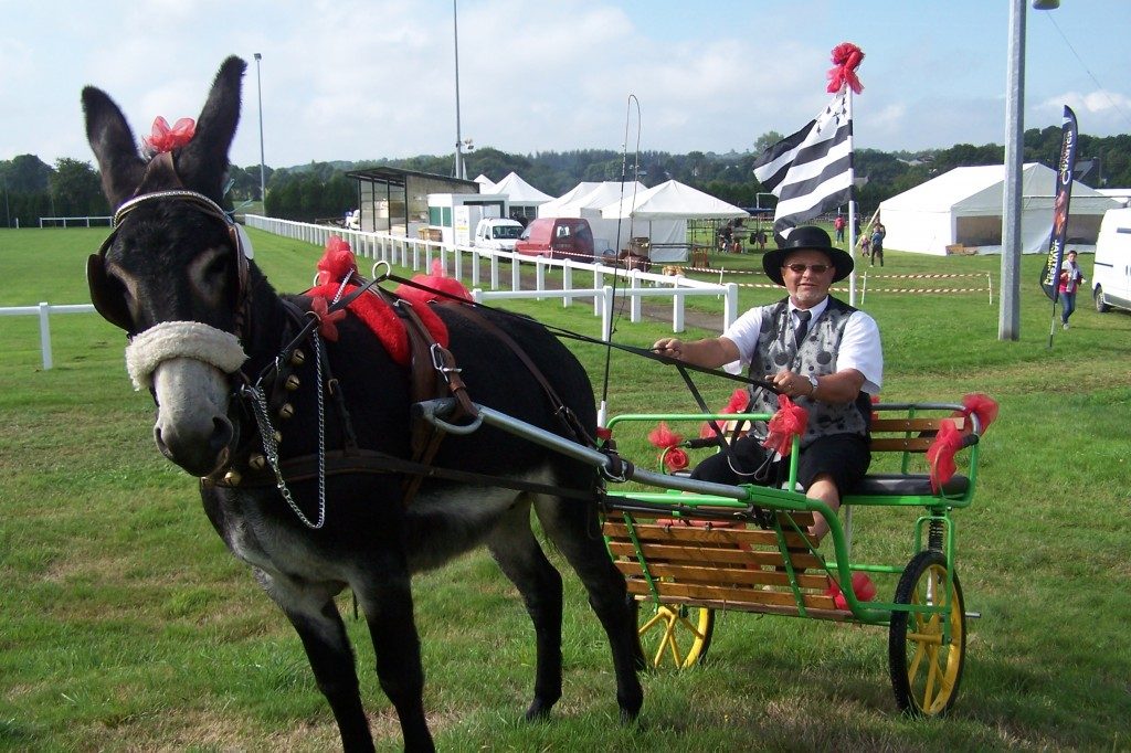 CHIC’ÂNES – FÊTE DE L’ÂNE à Moncontour