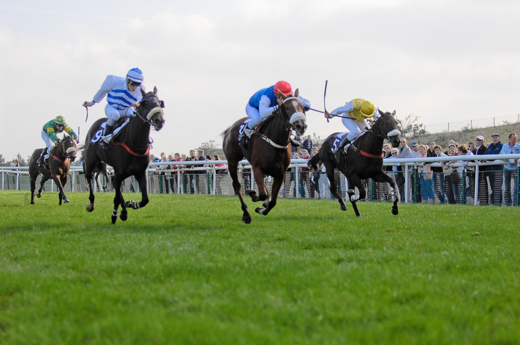 Tous aux courses à l'hippodrome de la Baie de Saint-Brieuc