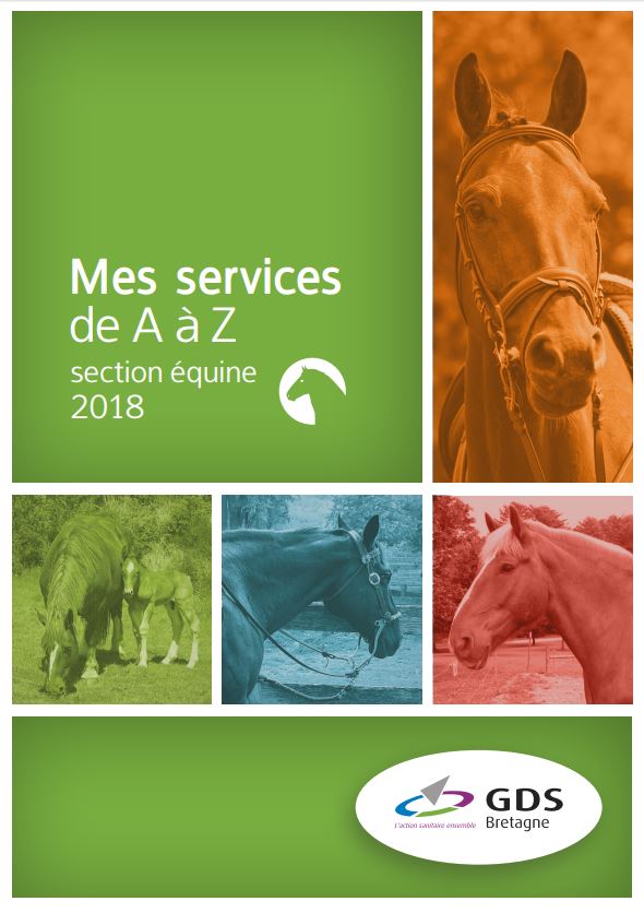 Formation GDS Bretagne : Les principales maladies infectieuses du cheval : les reconnaître, les éviter.