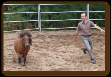 Journée découverte "Horse Coaching" au Haras de Lamballe