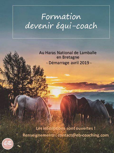 Formation pour devenir équi-coach au Haras National de Lamballe - démarrage avril 2019
