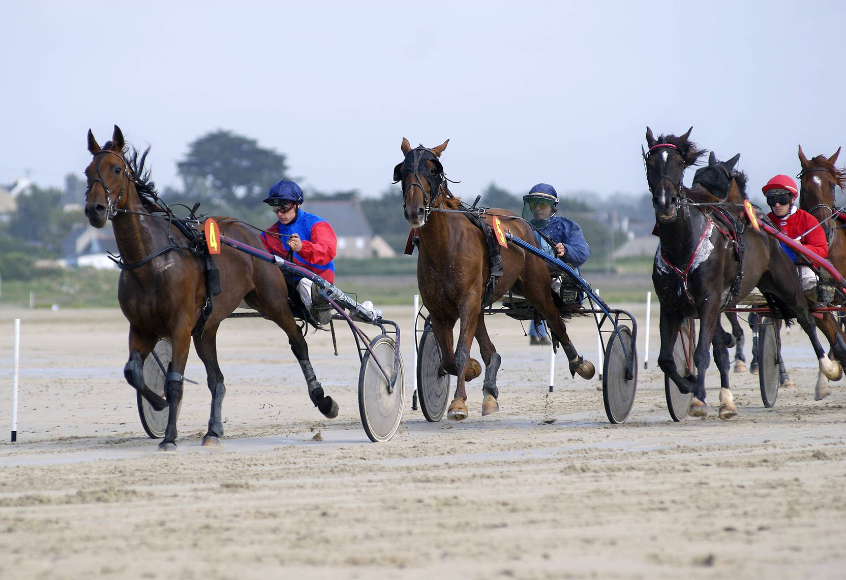 Courses Hippiques - Hippodrome des Bruyères