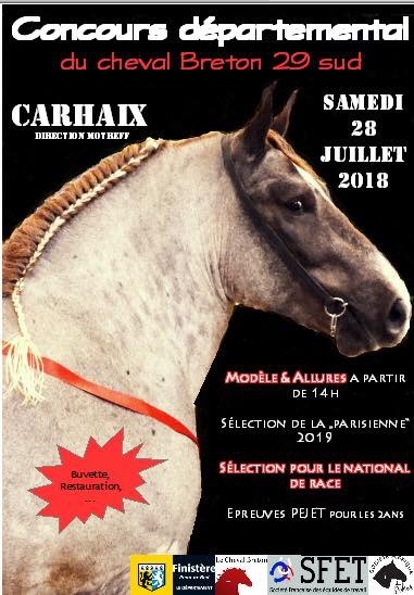 Concours départemental du Cheval Breton à Carhaix