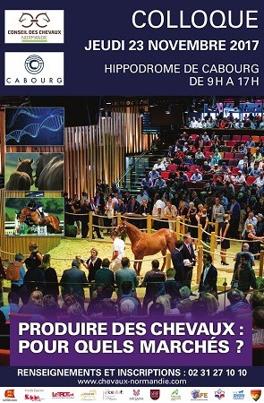 Colloque technique du CCN : Produire des chevaux pour quels marchés?